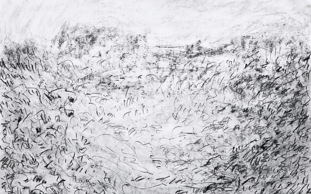 Study drawing 11