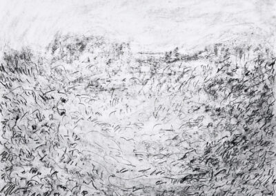 Study drawing 11